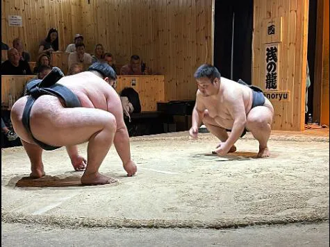 Geisha Dance & Sumo Show Lunch