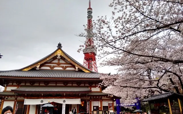 Zojoji Temple