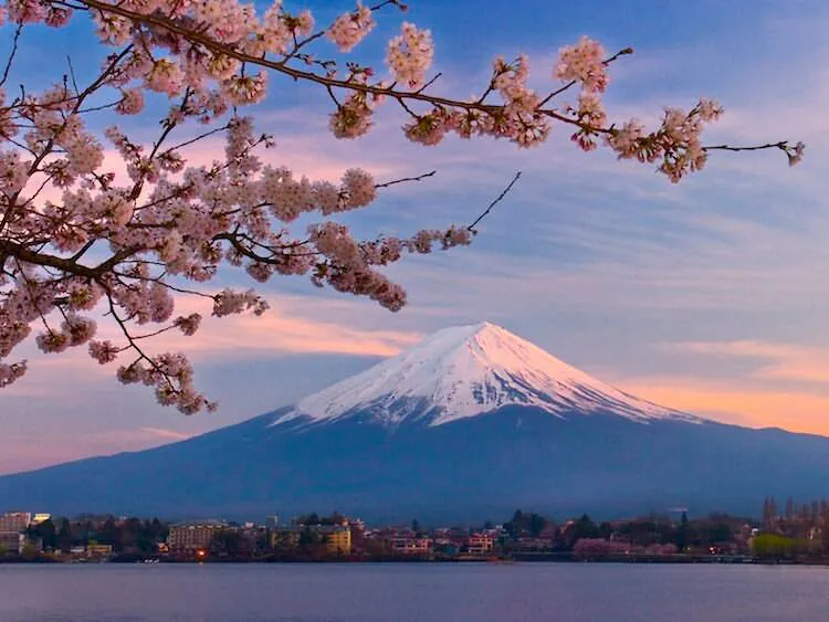 Mt. Fuji